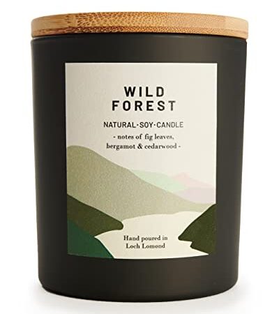 Wild Forest - Organic & Vegan, Luxury Scented Candles. Hand Poured in Loch Lomond, Scotland (+6 Scent Options)