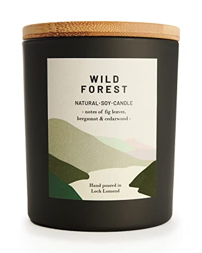 Best candle in 2023 [Based on 50 expert reviews]